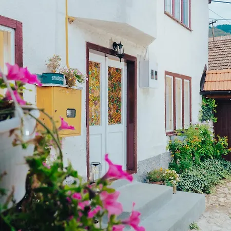 House Ashik Vikendica *