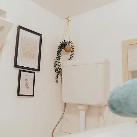 House Ashik Сараево